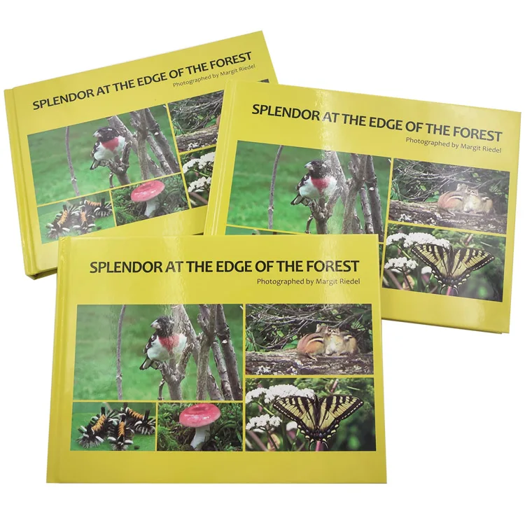Custom Book Service Hard Cover Photography Graphic Books Full Color Softcover Hardcover Photo Book Printing