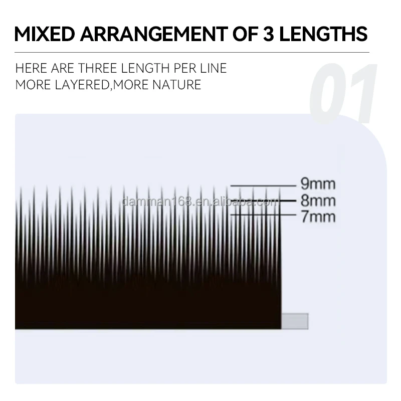 China Eyelash Factory Korea PBT Easy Fans Lashes Custom Eyelash Extensions Camellia Eyelashes