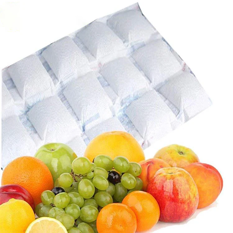 Keep Seafood Fresh Freezer Dry Cooler Cold  Gel Ice Pack for Delivery