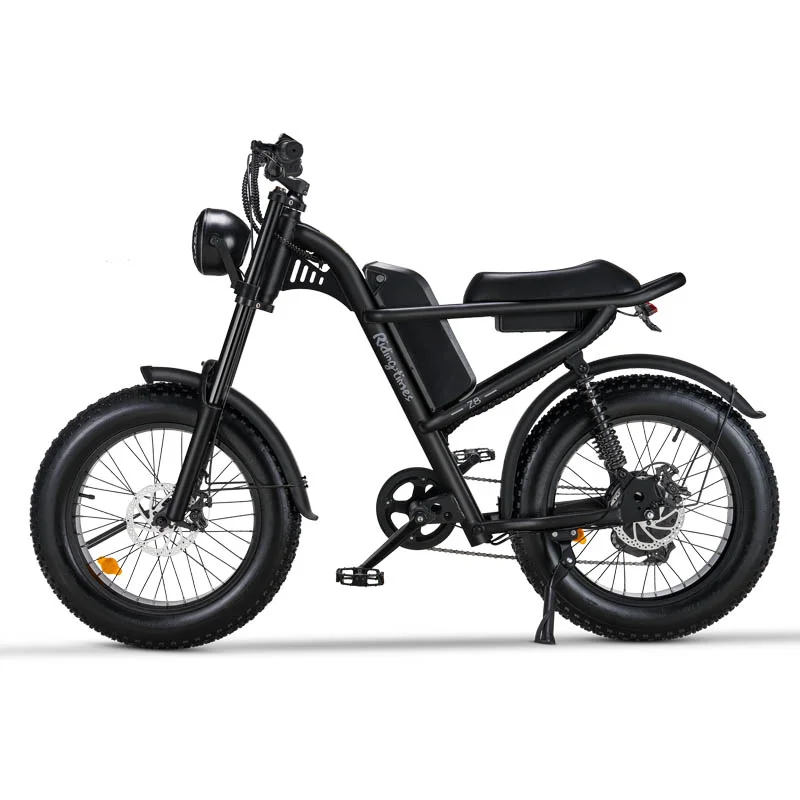 EU Warehouse Fat Tire Electric Bike 20inch Foldable E bike Price 750W Motor 15AH Battery Electric Bicycle