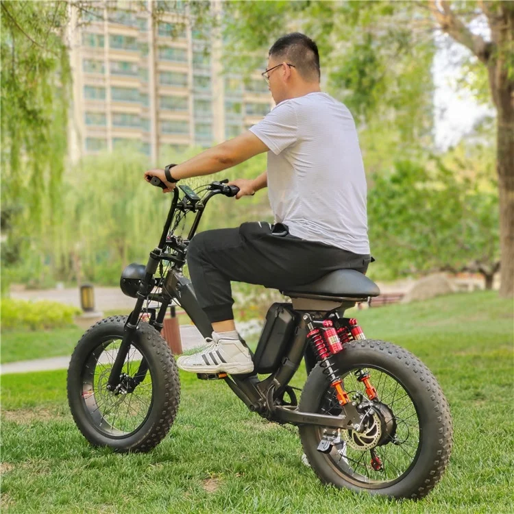 REALMAXS Hot sale 20 inch electric bicycle rear drive 1000w electric city bike electric bike cheap city electric fat bike