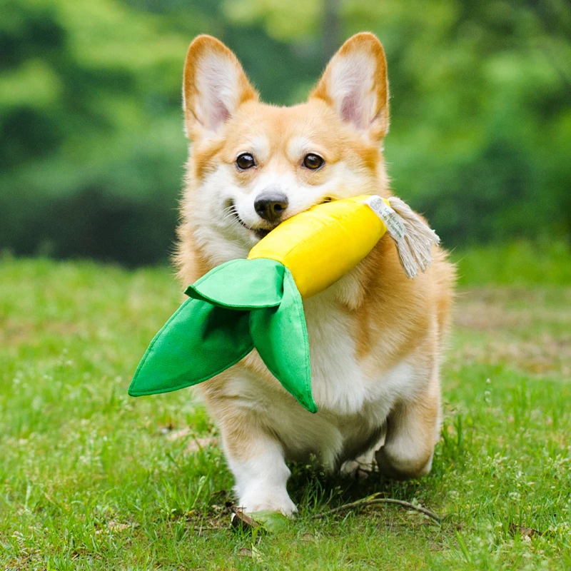 Oem Various Bite Resistant Durable Recyclable Cotton Pet Dog Toy Corn Plush Squeak Teething Chew Toy For Aggressive Chewers
