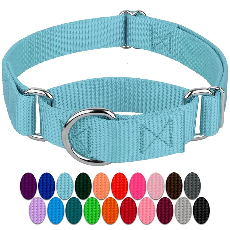 Durable D String Dog Collar Classic Pet Training Nylon Dog Collar for Puppy Large Dogs