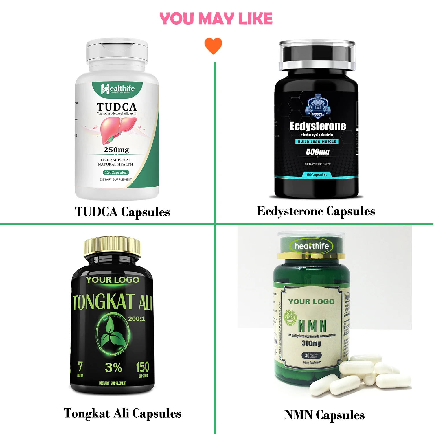 Manufacturer Supply Bitter Cardamon Extract 5:1 Fructus Alpinia Oxyphylla Extract