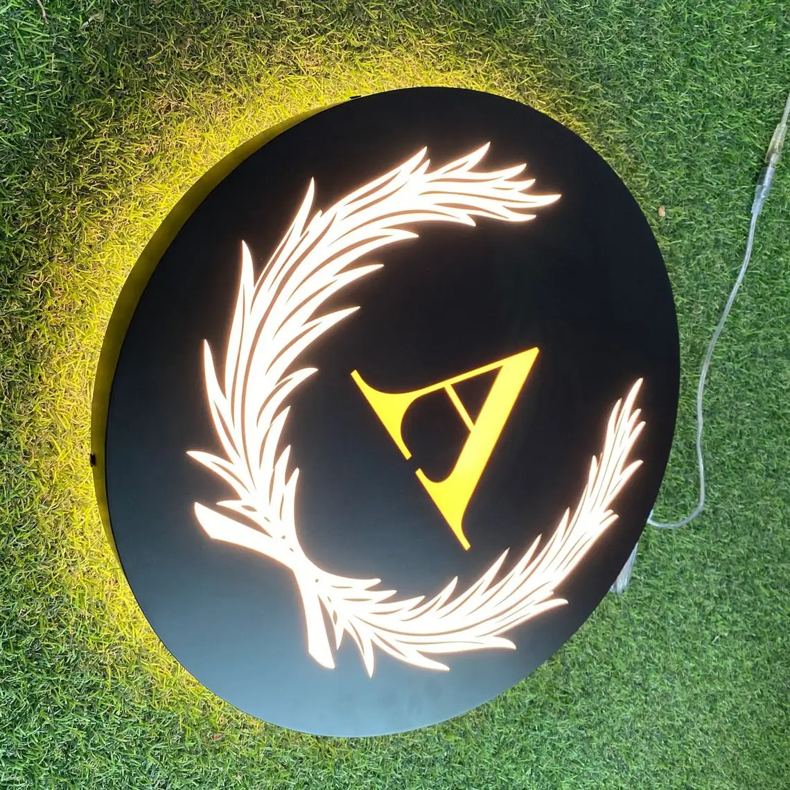 Custom Acrylic LED Light Box Sign Outdoor Advertising Rotating Letter 12V Power