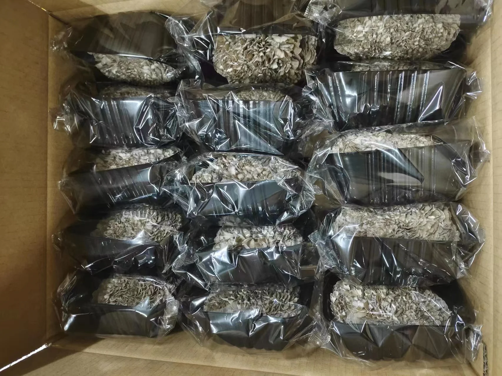 Источник здоровой пищи древние питательные грибы Hen of woods Maitake