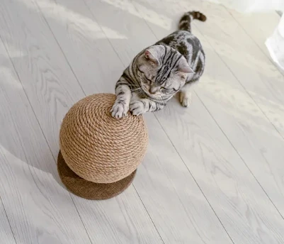 Cat Interior Scratching Ball Type