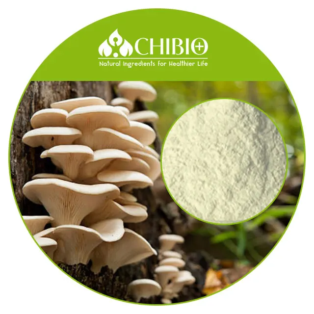 Kosher Ingredients Mushroom Chitosan Powder Raw Material Supplier