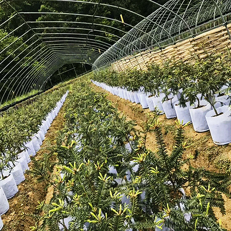 Wholesale Agriculture Breathable Durable Eco Friendly Biodegradable PP Non Woven Fabric Nursery Plant Grow Plant Seedling Bags