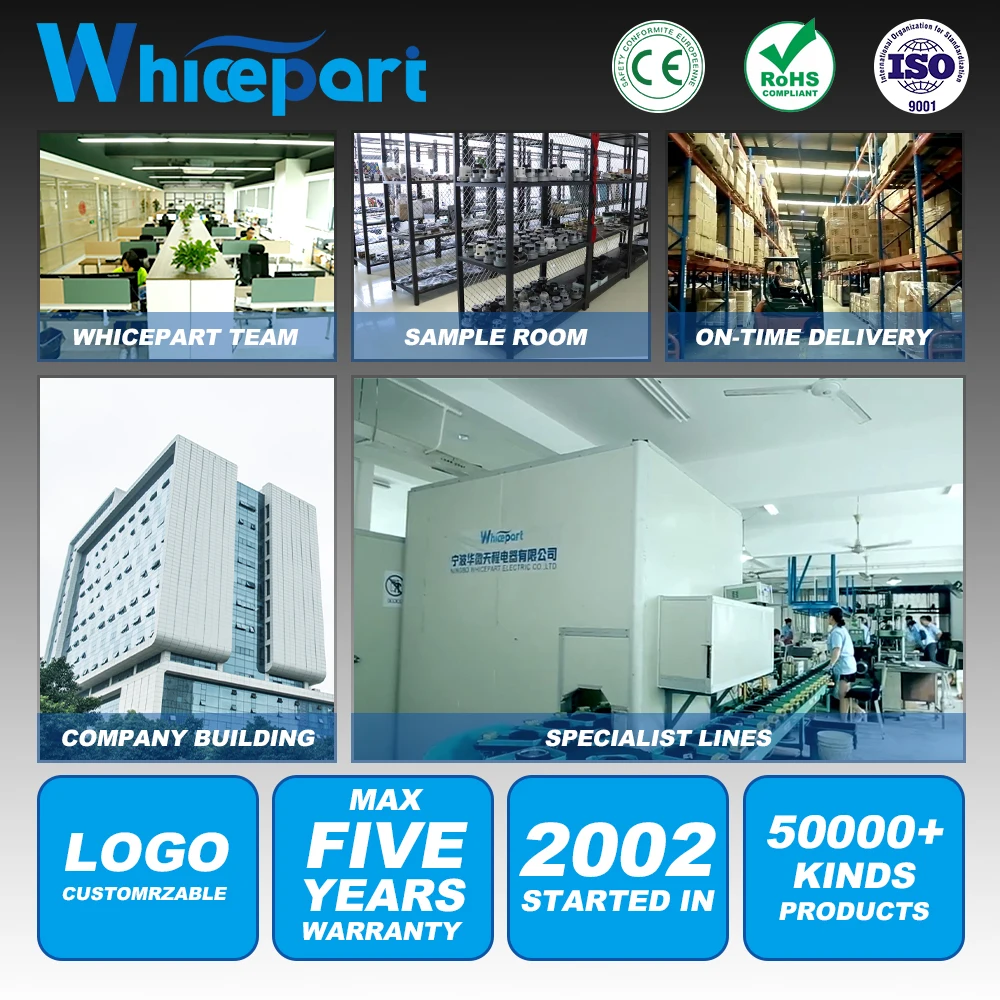 2P 250V 16A Chrome body grey cover oven switch gas cooker push button lamp switch oven switch KN-T125J for oven parts