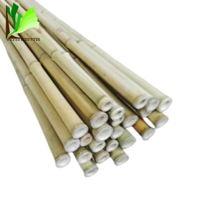 Cheap Natural Tonkin Raw Bamboo Culm for Support