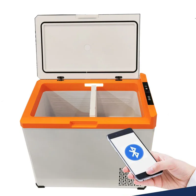 40L 12V 24V Portable Camping Electric Cooler Box Car Refrigerator Mini Fridge