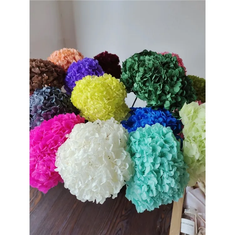 Home decoration of preserved Hydrangea with stem Big leaf Natural flowers Long term preservation