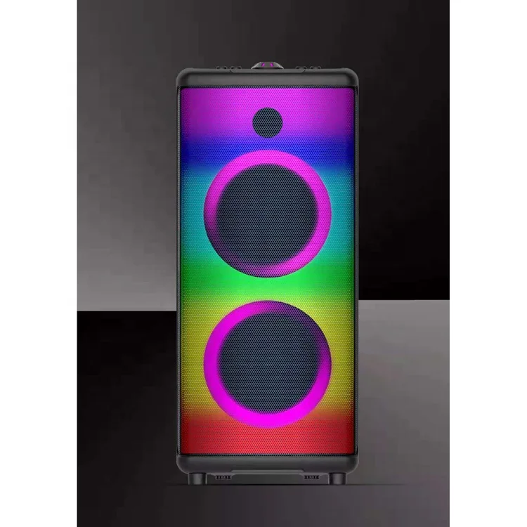 Double 6.5 Inch Karaoke Party Dj Speaker With Display Screen And Two Wireless Mic