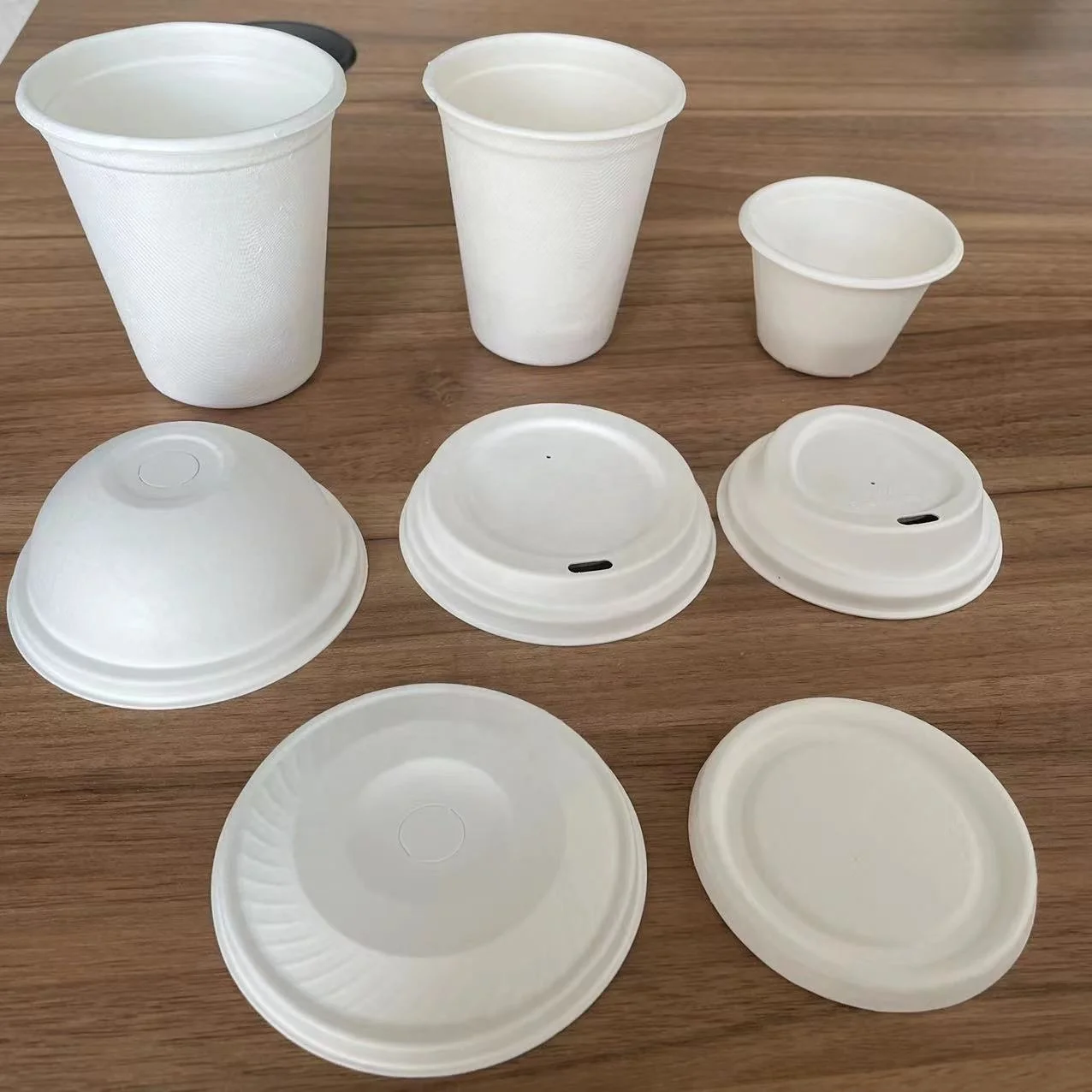 Biodegradable disposable compostable 8oz 12oz 120ml sugarcane pulp coffee tea cup eco-friendly disposable party cup with lid