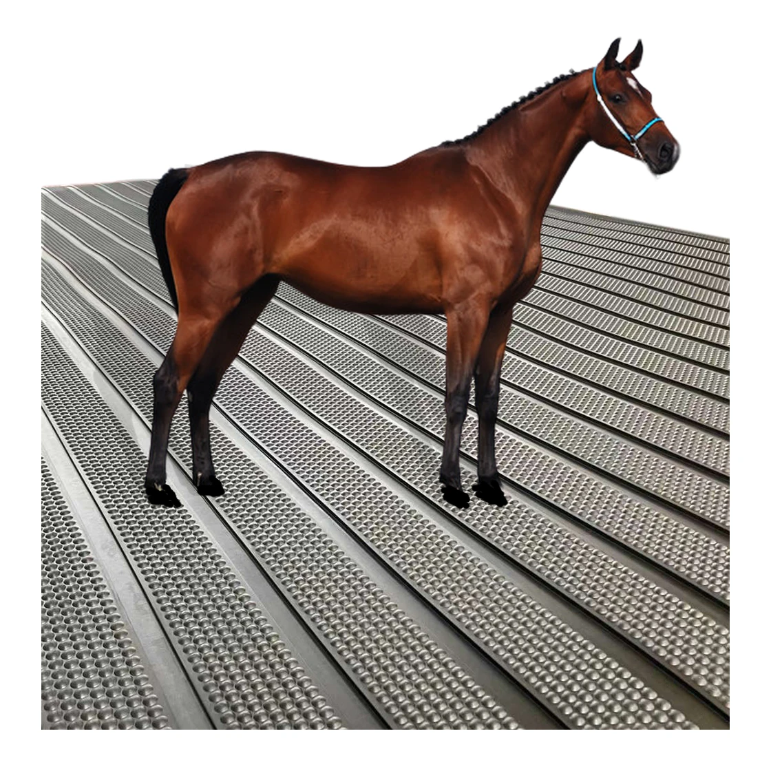 Roll type rubber horse float & truck / stall / stable matting