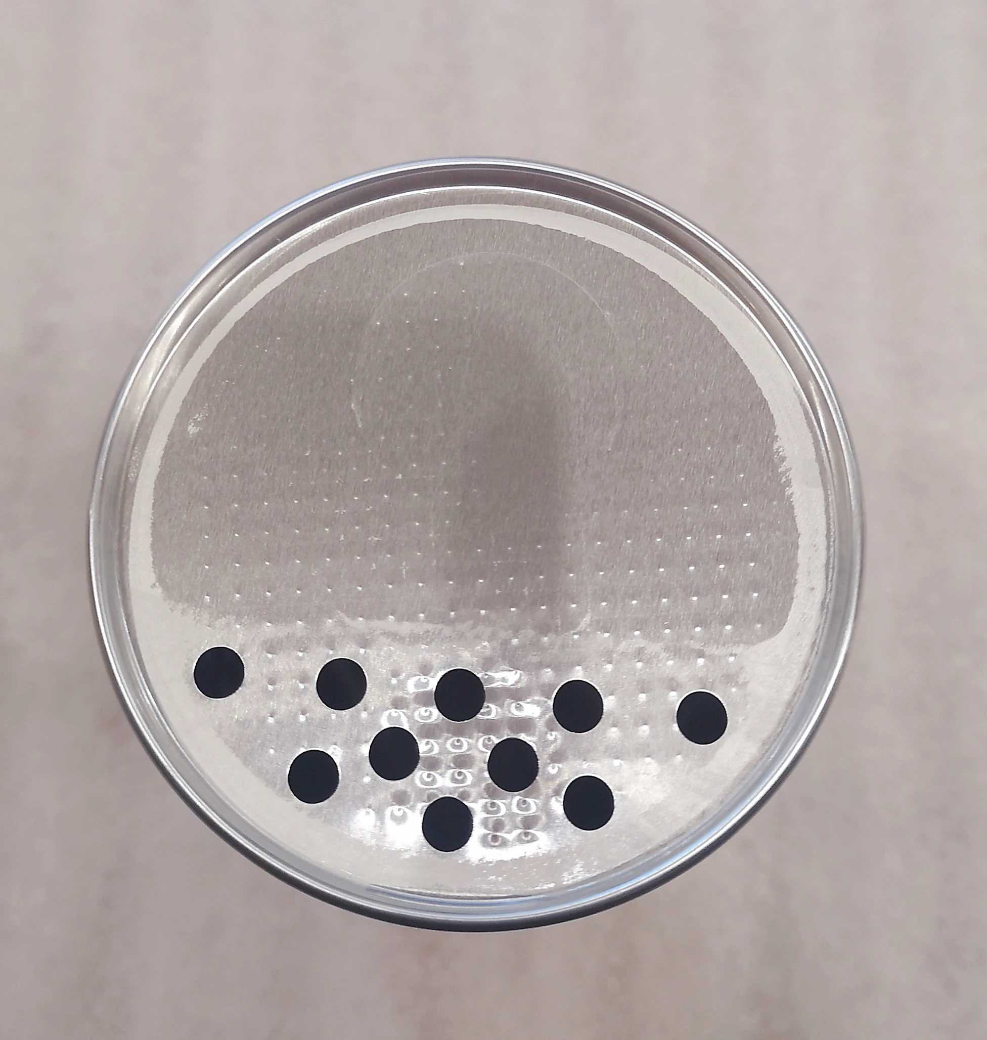 Custom  Canister Spice Salt Powder Seasoning Top Shaker Round Empty Paper Can With Aluminum