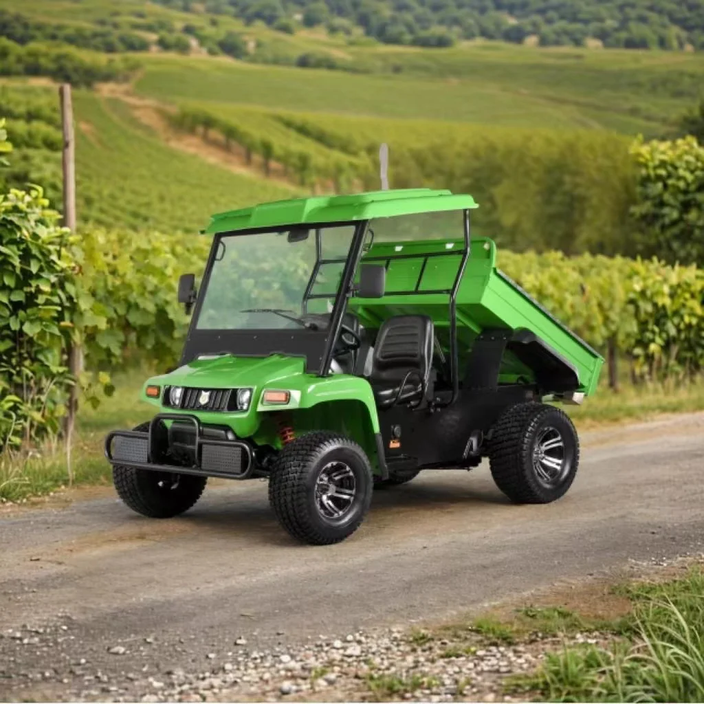 Мощный внедорожник 4WD Электрический мини-Джип Utv Электромобиль используемый на ферме