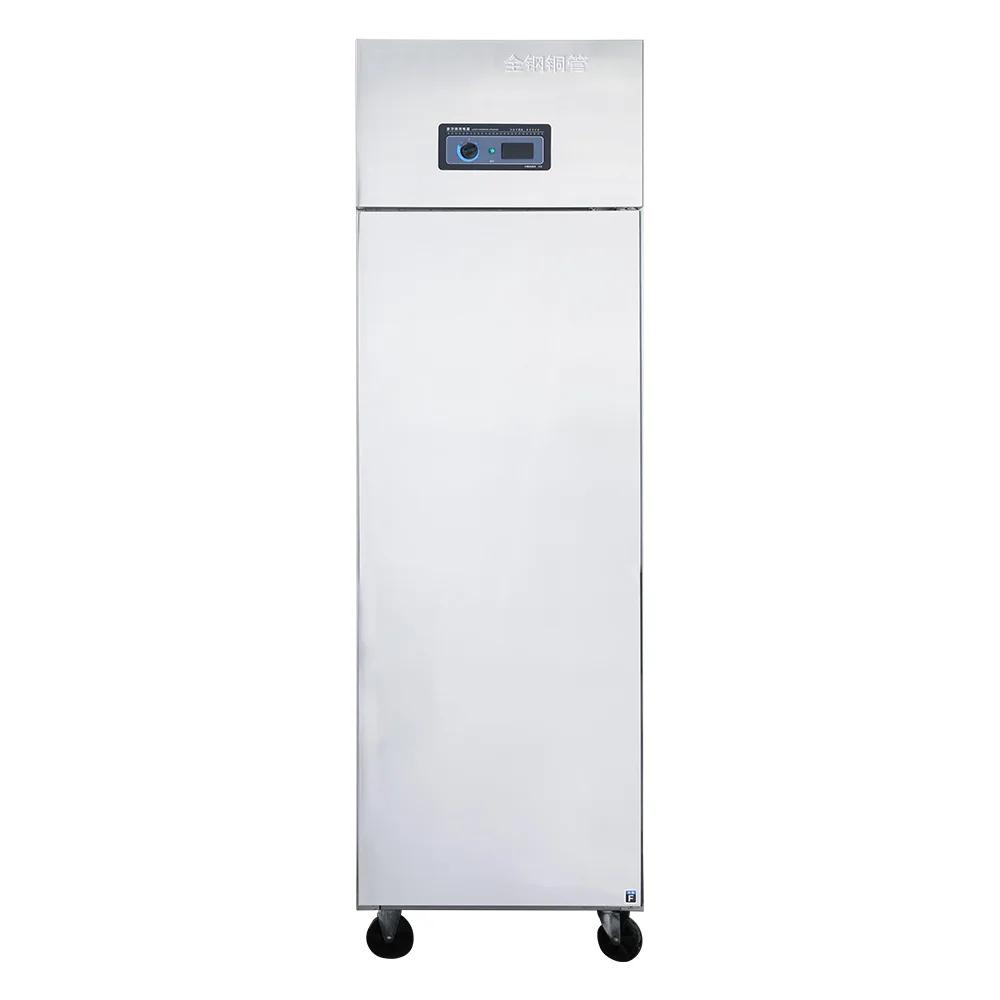 2 Door Hot Sale Direct Cooling Commercial  Stainless Steel Vertical/Upright  Freezer