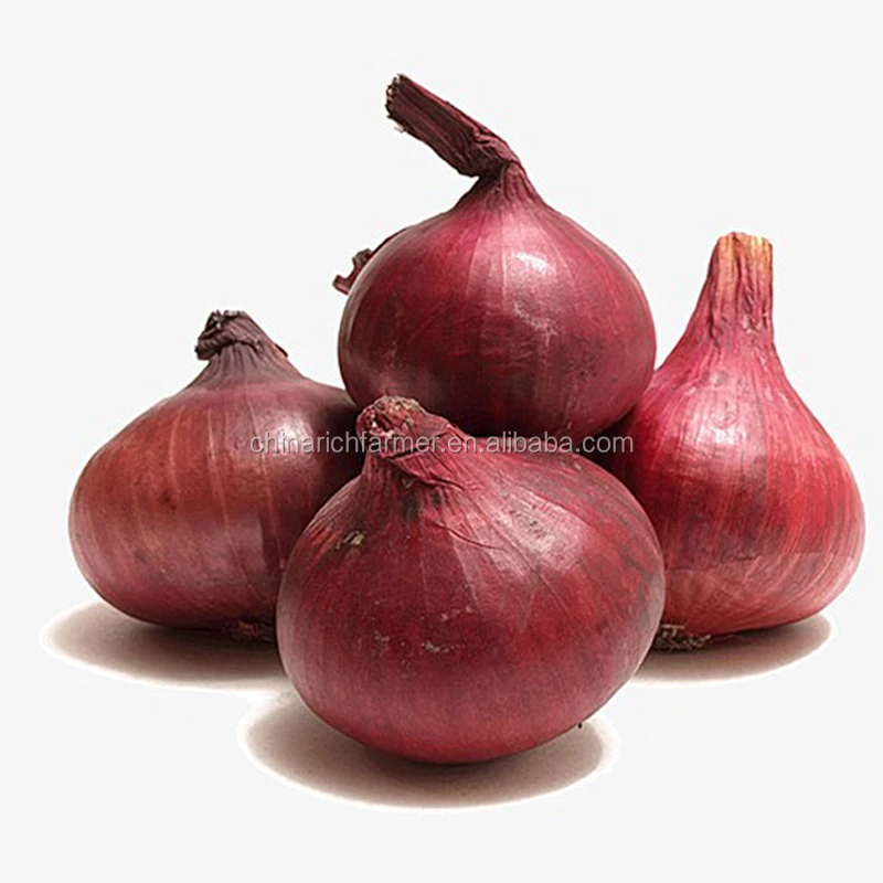 China Fresh Onion Supplier Red Onion