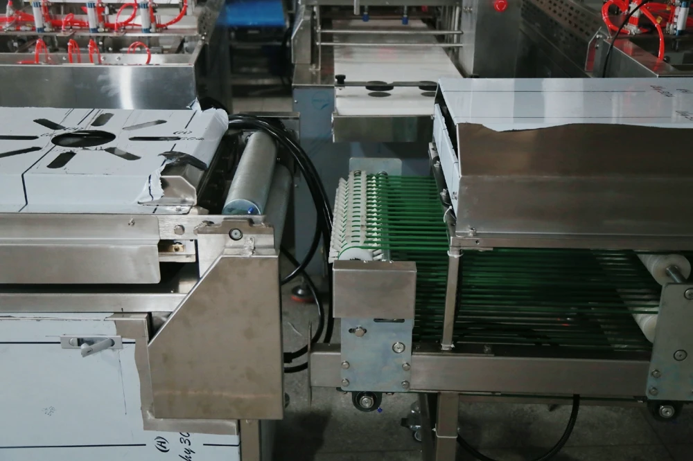 
sss supplied tortilla chips production line 