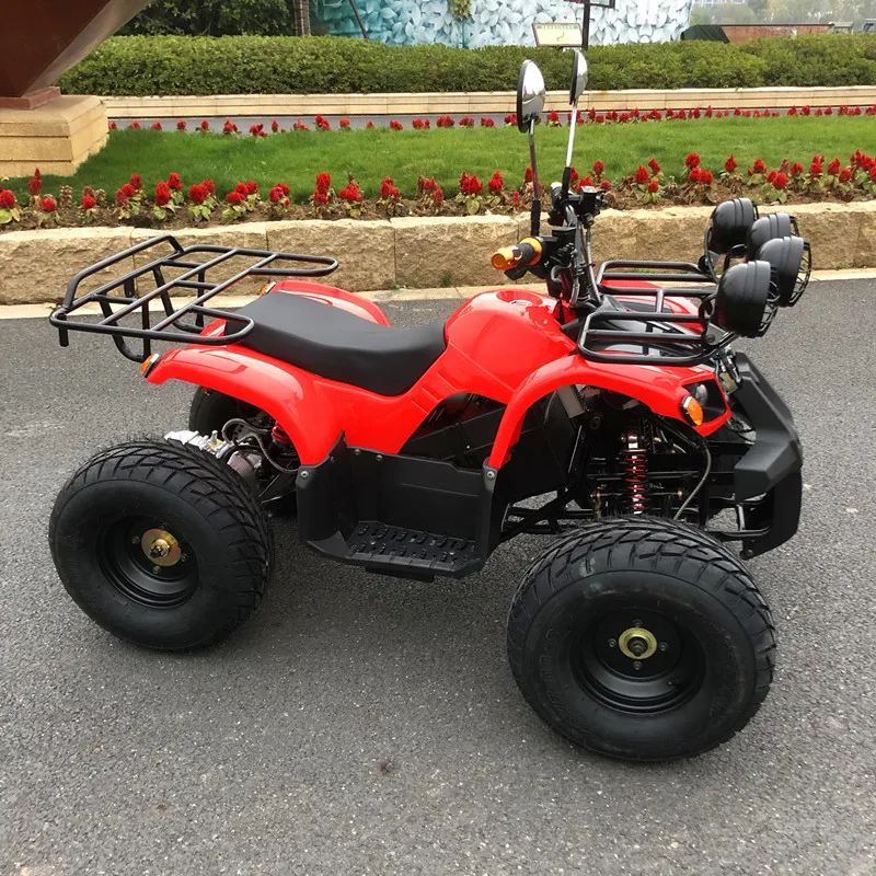  Местности внедорожный ATV ось привода 48V750W Электрический квадроцикл все 500 - 800W автоматический вал