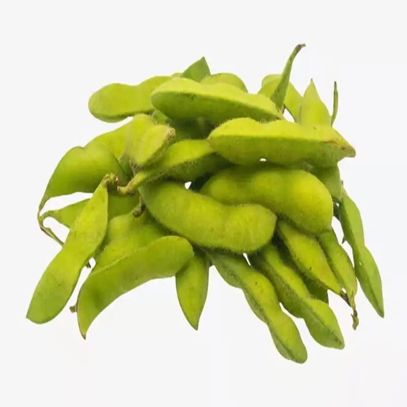 
IQF Frozen Vegetable Edamame kernel soy bean 