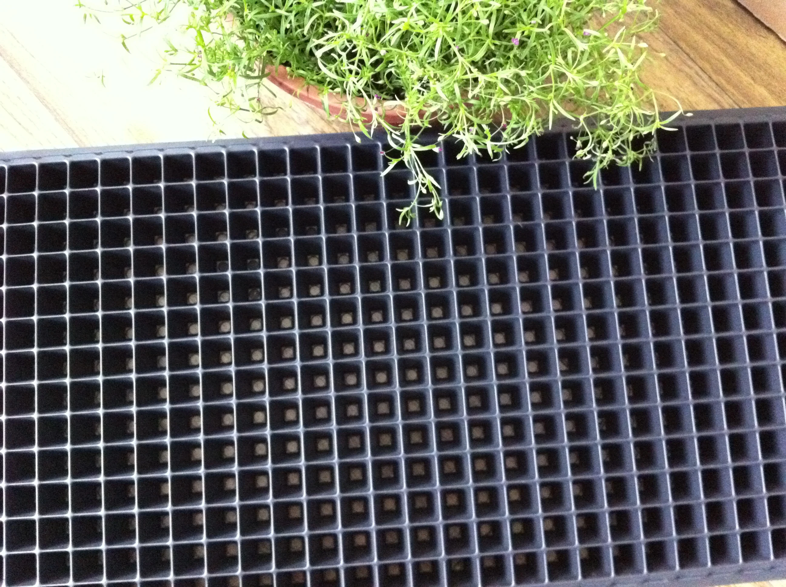 Seed planting plastic seedling nursery tray pots cell seed plant germination growing seed plug 406 cell seedling tray