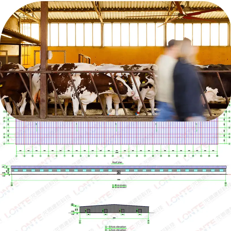 Lonte Prefabricated light steel structure cow pig chicken horse goat shed farm house barn poultry farming prefab houses