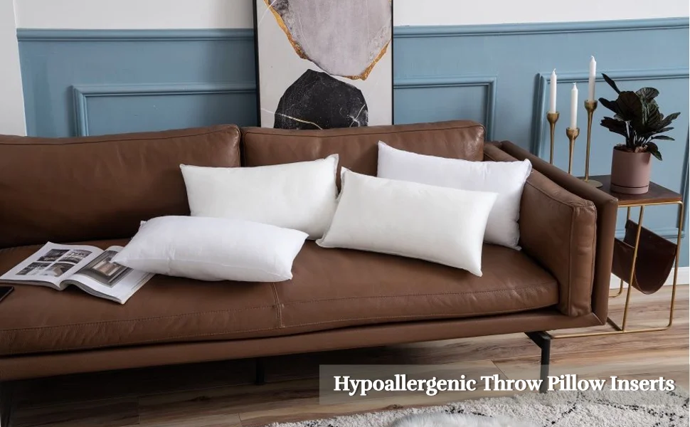 Hypoallergenic Throw Pillow for Couch or Bed Decorative Insert Square/100% Polyester/nches Bed and Couch Pillows Indoor