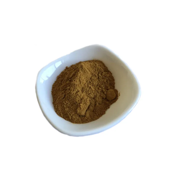 Supply 95% Hesperidin 10:1 20:1 Citrus Aurantium Extract Powder