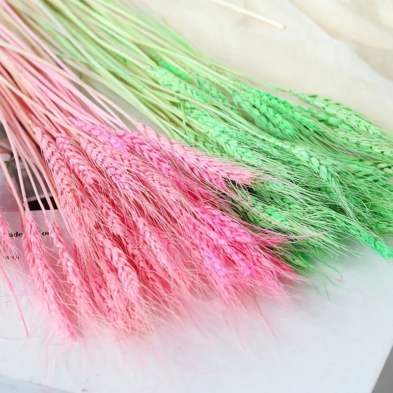 AYOYO OEM Best selling Dried wheat for home/wedding/park/school/party decoration colorful wheat wheat