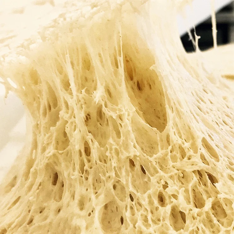 Ultimate Pizza Making Guide for Homemade Crust - The Best Choice of Our Instant Yeast