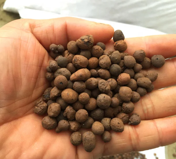 hydroton clay pebble