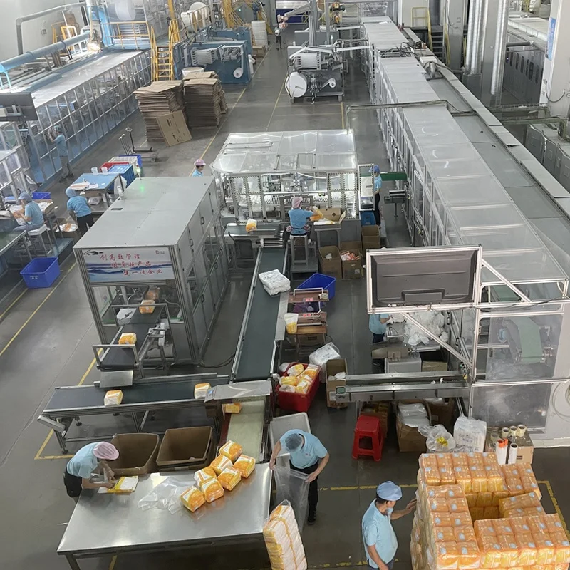 Free sample OEM factory price super thick nappies ladies incontinence adult diaper pants pull up disposable for panties