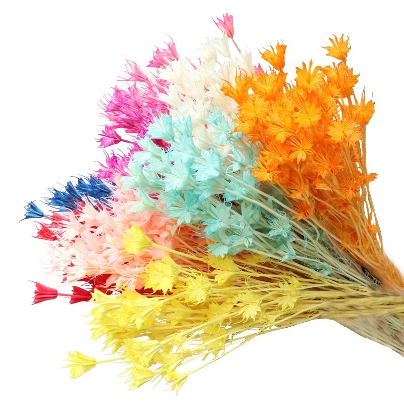 Оптовая продажа с завода, оригинальный воздушный сушильный цветок аниса в форме звезды, постоянное сохранение на Рождество, украшение комнаты, оптовая продажа, мох