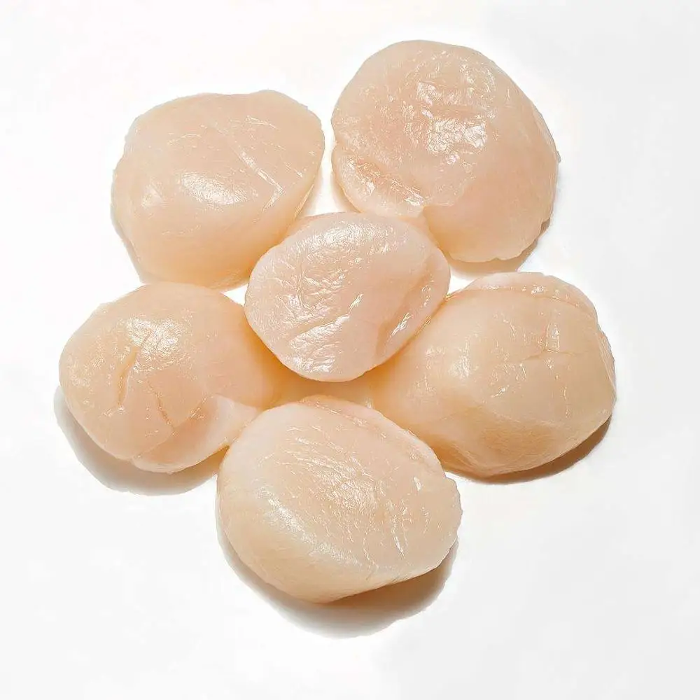 
Best selling new catch boiled frozen bay scallop and scallop meat 