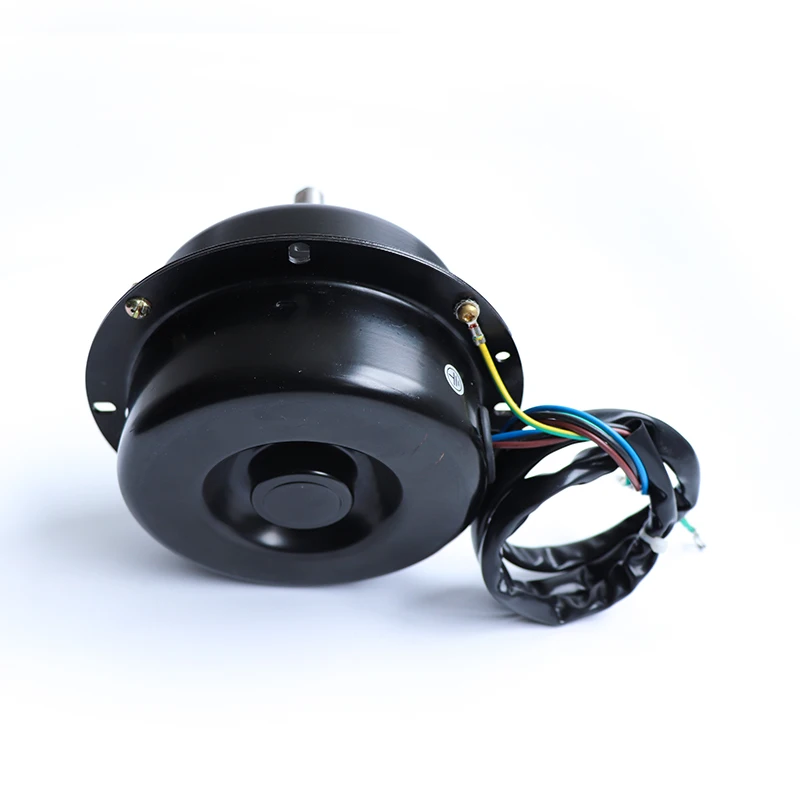 Customized Brushless DC Motor for Cooker Range Hood and air conditioner
