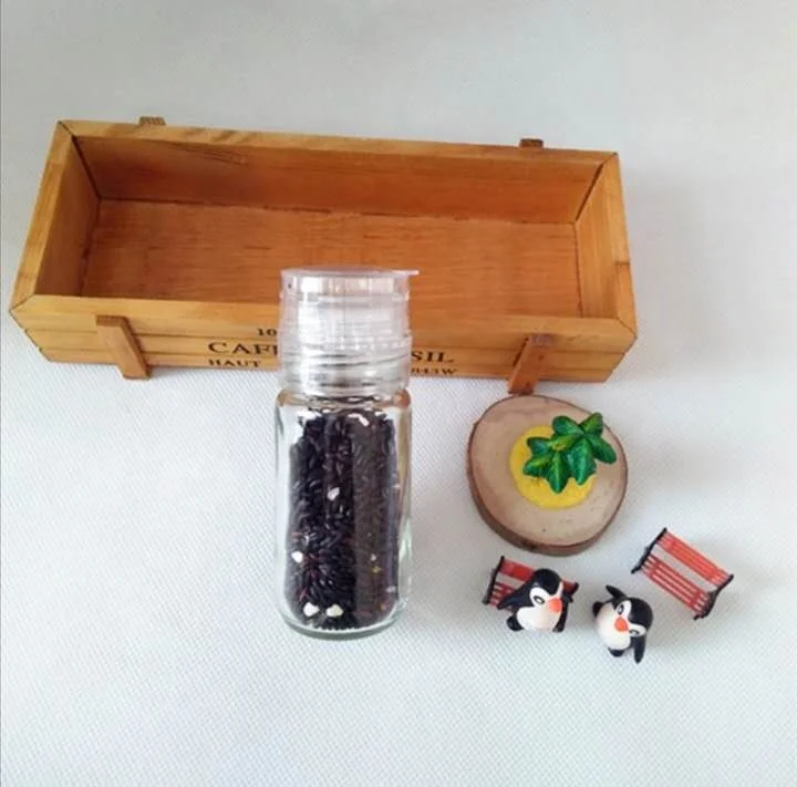Factory Manufactured Wholesale Acrylic Glass Hand Salt and Spice Mill Set Pepper Grinder