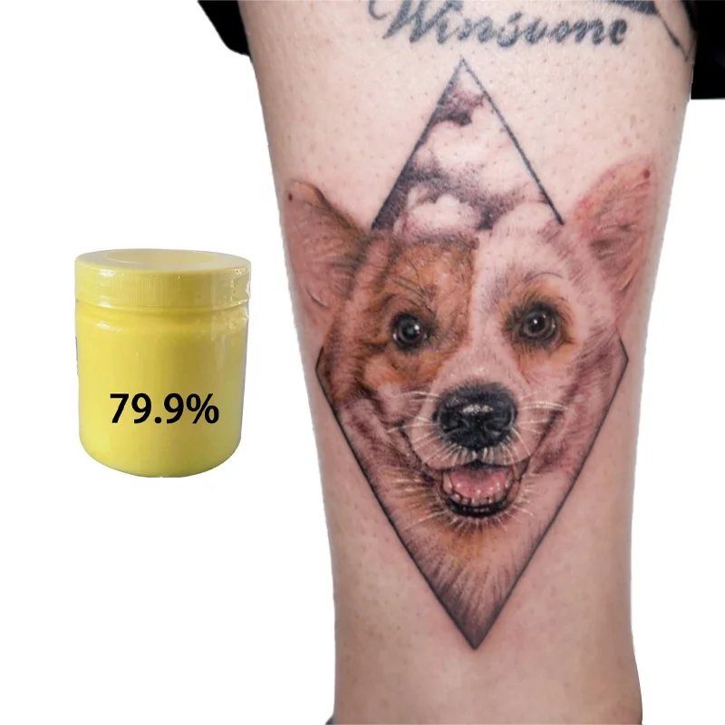 Customized Private Label 500G Body Tattooing pigment dynamic tattoo inks Black Triple Colors semi permanent Tattoos Ink kit