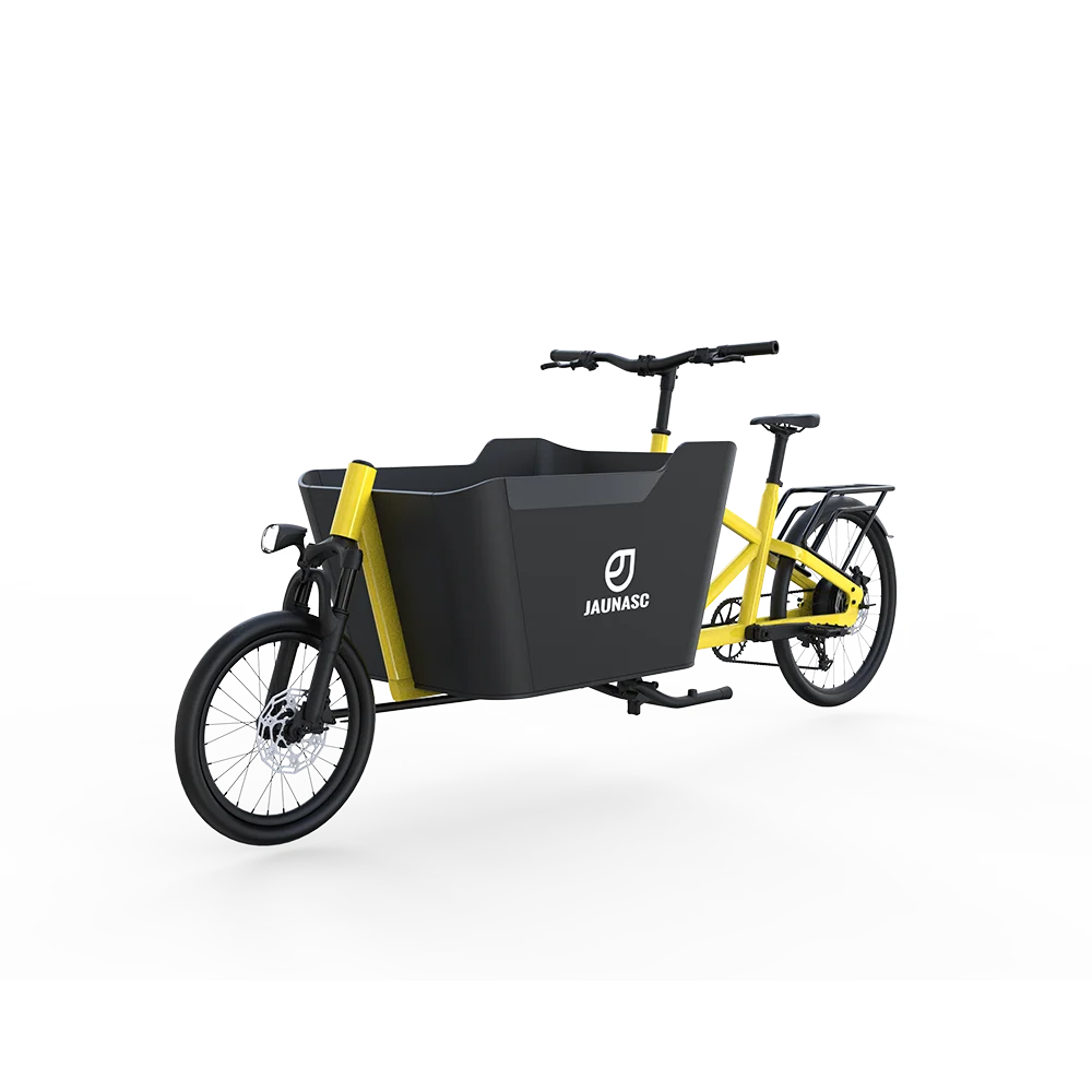 New design cargo ebike long range battery cargo e bike cargo bicycle electric bike e-cargo family e bicycle for delivery
