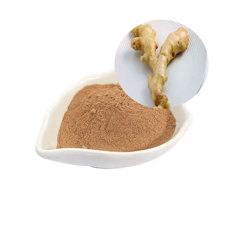 Market Prices Ginger Root Seed Extract Water Soluble Ginger Powder