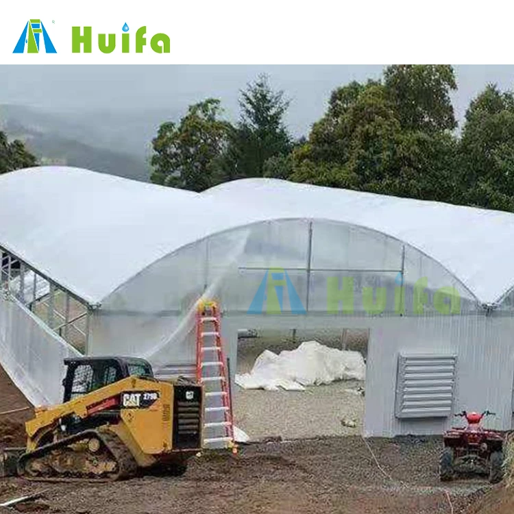 Industrial Greenhouse Hydroponic Greenhouse Tunnel Multi Span Blackout Greenhouse