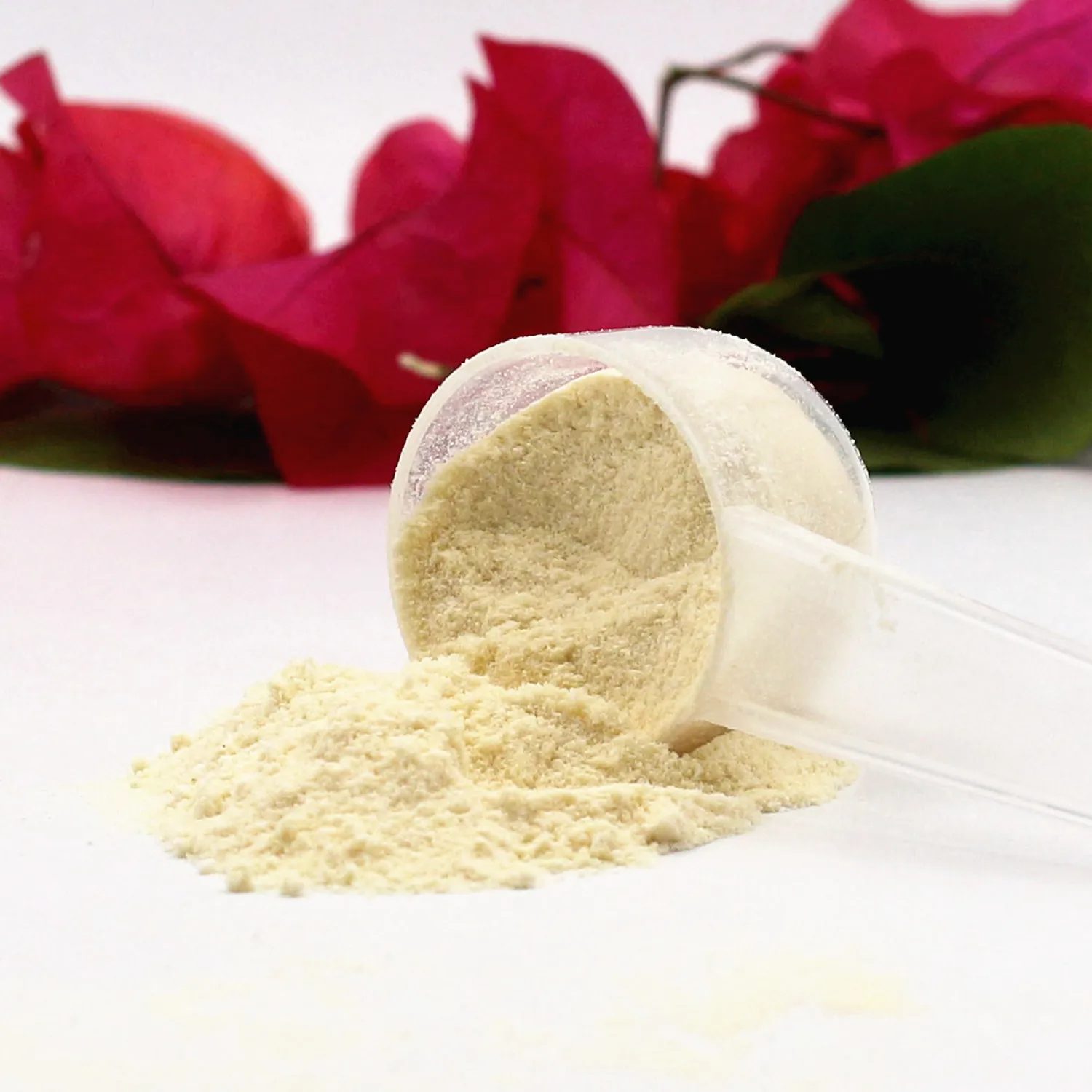 Wholesale protein powder 100% whey protein isolate powder private label whey protein powder