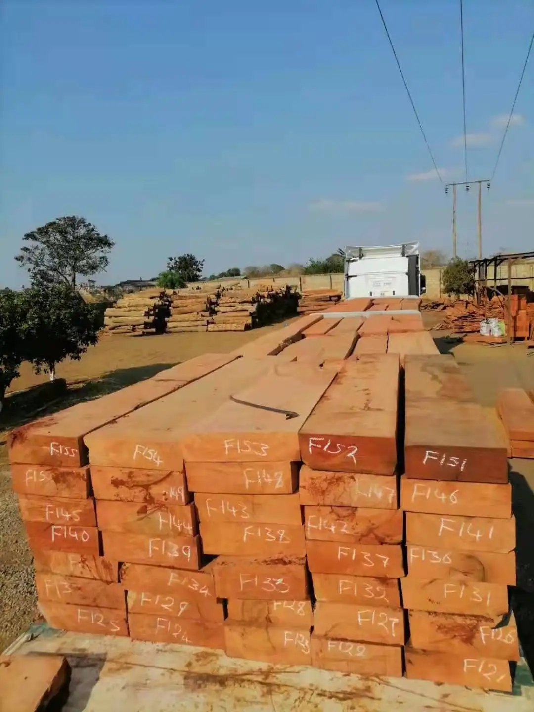 Hot Sales Zambia Mussibi/Mussivi Sawn Timber Logs for Furniture Boat Customized /Quality/ Factory Price