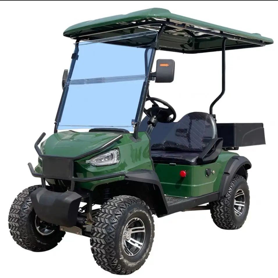 Two green  new energy golf carts electric modified vehicle 2024 new 2 seats cart