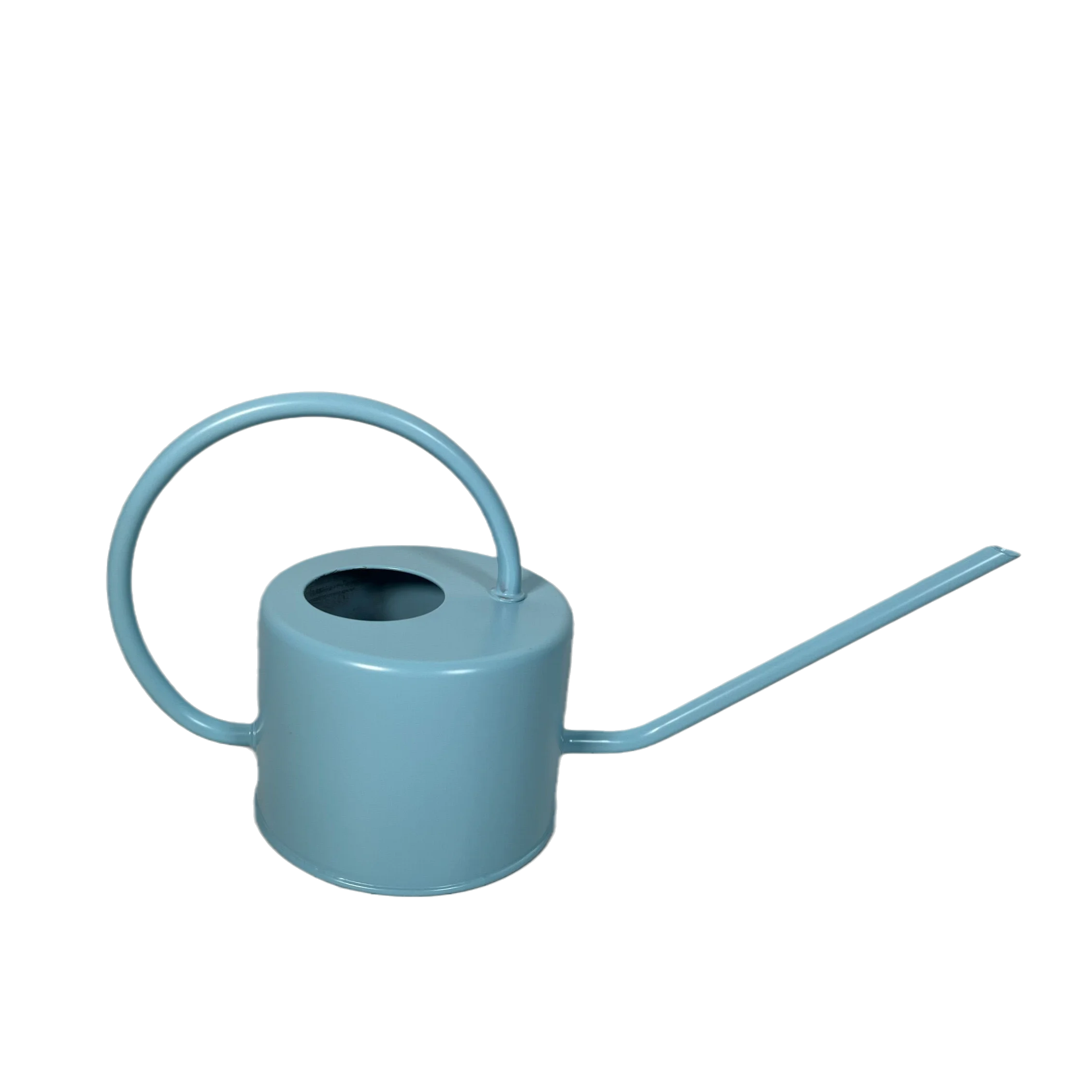 1 Gallon Watering Can With Removable Brass Rose Vintage Galvanized Steel Garden Plant Watering Can