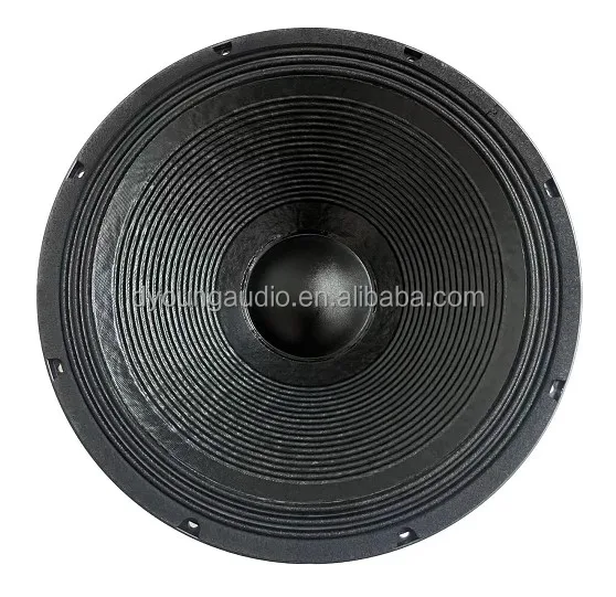 Single 18 double 18 inch speaker box outdoor subwoofer 220 mm magnet 100 mm coil loudspeaker 18TBX100