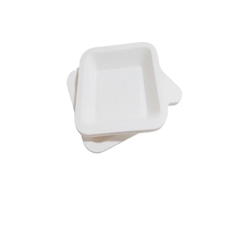 DisDisposable Eco-friendly Sugarcane Bagasse Plates 6 / 7 / 9 / 10 Inch Plate Round Square Platter