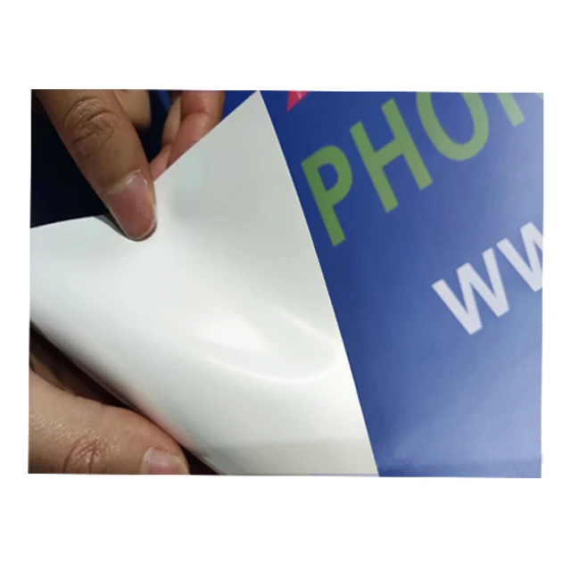 GLP sale custom totoro posters anime posters luffy wanted posters